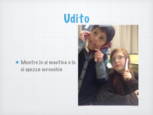 IMG_0539.PNG